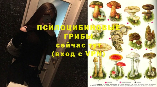 apvp Белокуриха